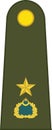 Shoulder army mark insignia of the Turkish BÃÂ°NBAÃÅ¾I